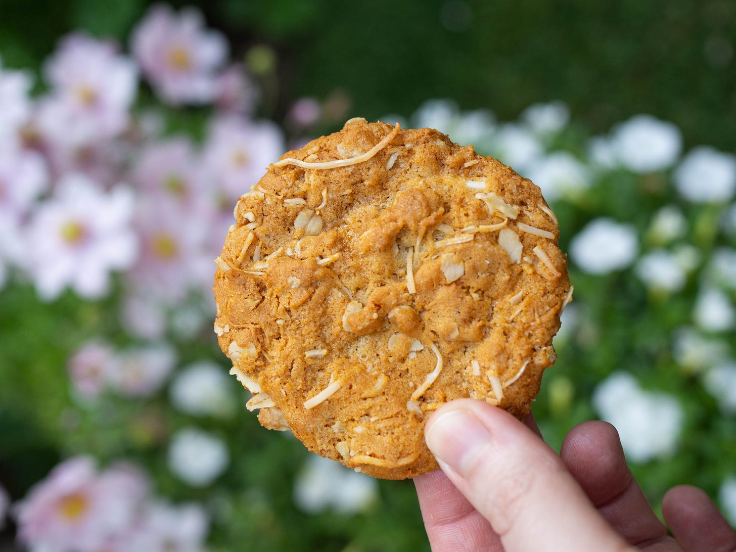 ANZAC Biscuit