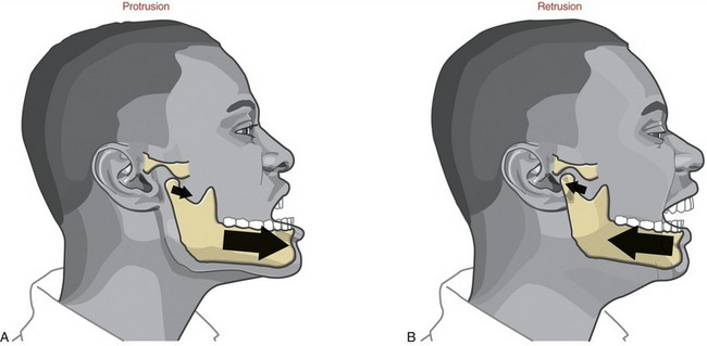 Kinesiology of Mastication and Ventilation | Clinical Gate