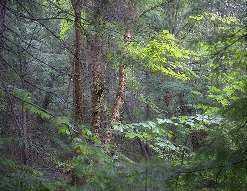 Image 5501145 Image 5501145