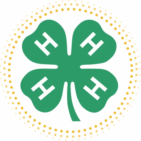 Homepage | Iowa State University Extension and Outreach 4-H Youth  Development