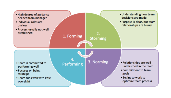 Tuckmans model of team development