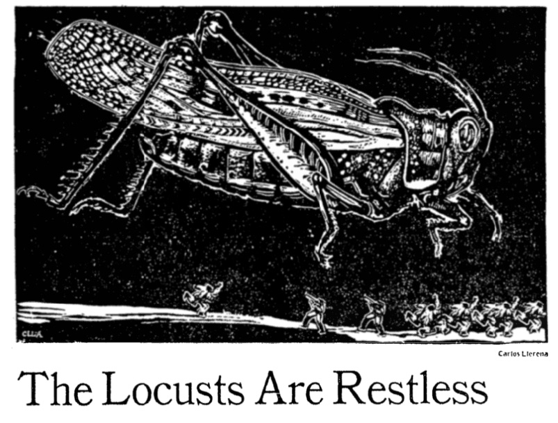 A black-and-white engraving of a locust the size of a jumbo jet hovering above a small army pointing guns at it. Below the engraving is a NYT headline reading "The locusts are restless"