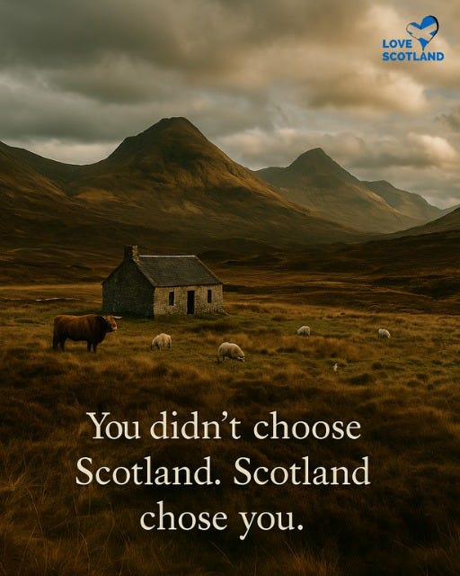 May be an image of text that says "LOVE SCOTLAND You didn't choose Scotland. Scotland chose you."