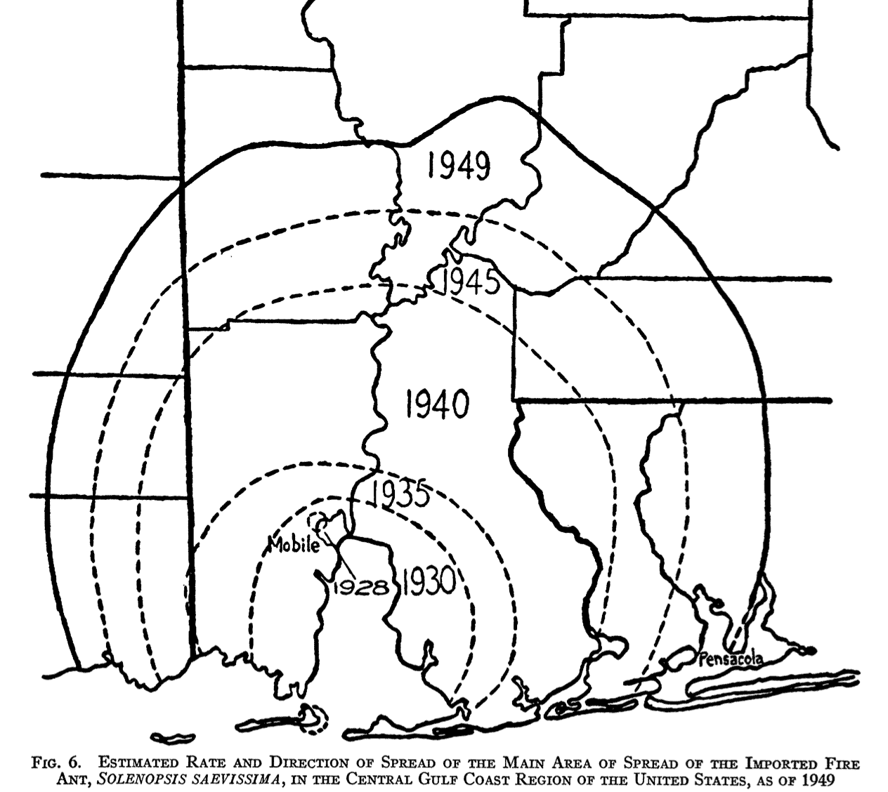 Fire ant initial invasion area from 1928-1949 Fire ant initial invasion area from 1928-1949
