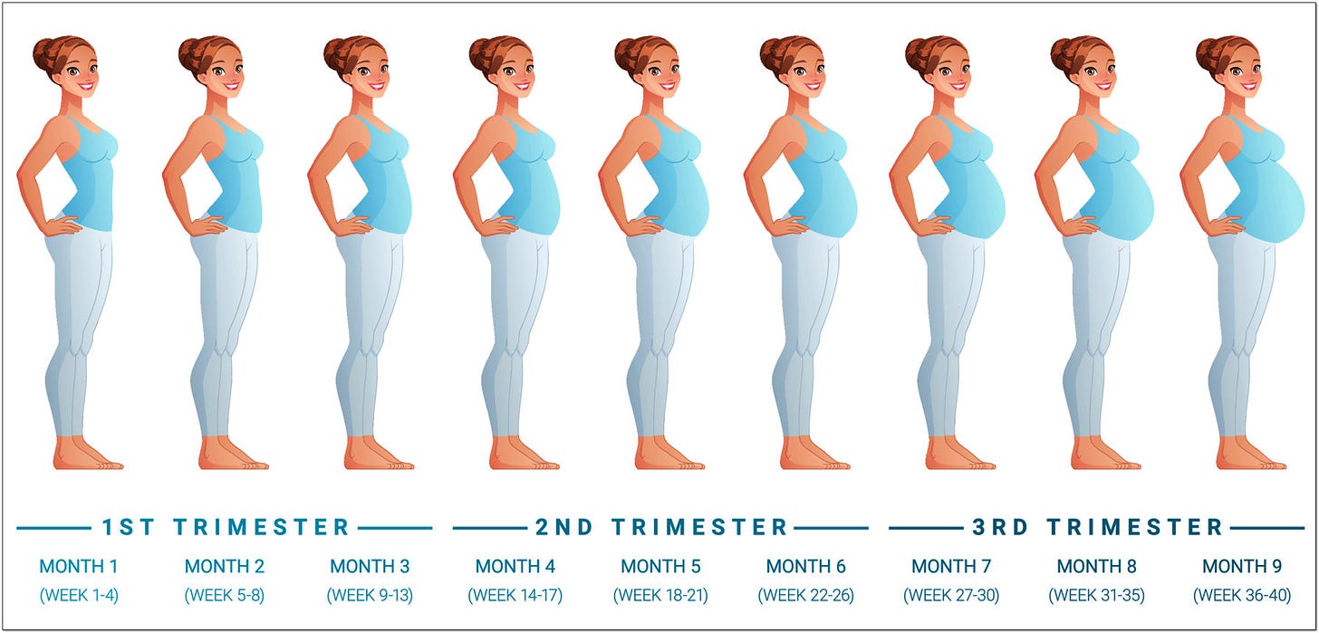 pregnancy calendar 28 day months