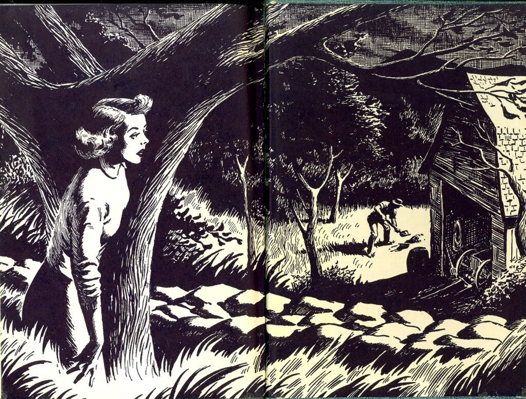 photograph of the inside covers of Nancy Drew:The Secret of the Old Clock  by Carolyn Keene