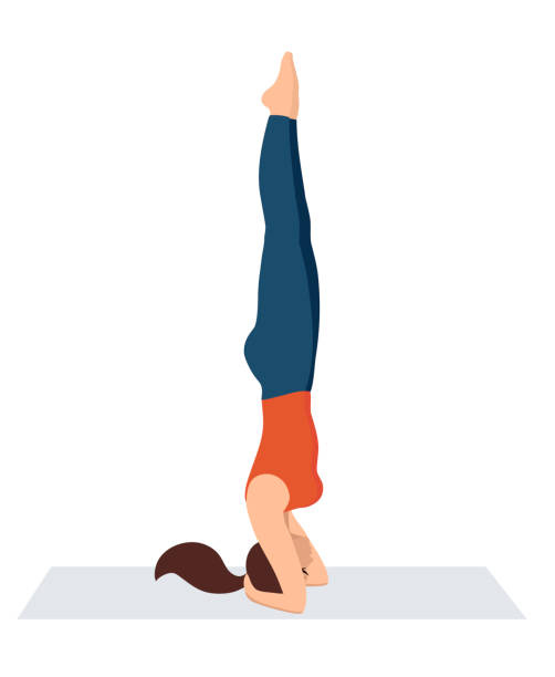 Vector Illustration On White Background Headstand Asanas In Yoga ...