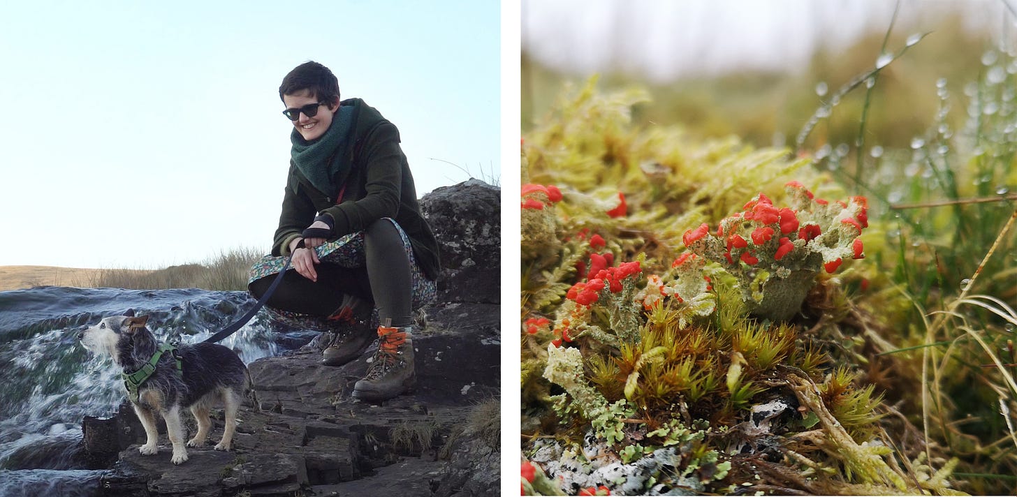 A duo of photos. 1) Katie the human and Jack the dog are on some rocks on the bank of a fast flowing stream. Katie crouches down, looking adoringly at Jack, who is in the foreground gazing off into the wind. 2) A close up photo of an astonishing lichen, pale green but covered in bright scarlet tips, growing upon a mossy rock, with dew drops showing on the grass in the background.