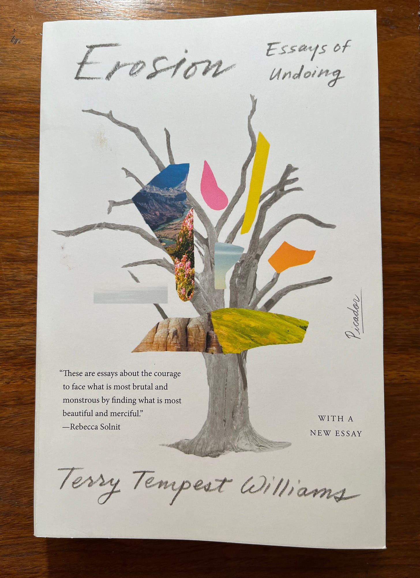 Book titled Erosion, by Terry Tempest Williams