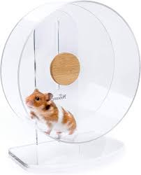 Amazon.com : Niteangel Silent Hamster Exercise Wheel - Dual-Bearing Quiet  Spinning Acrylic Hamster Running Wheel for Hamster Gerbils Mice Degus Or  Other Small Animals (Medium - Wider Version) : Pet Supplies