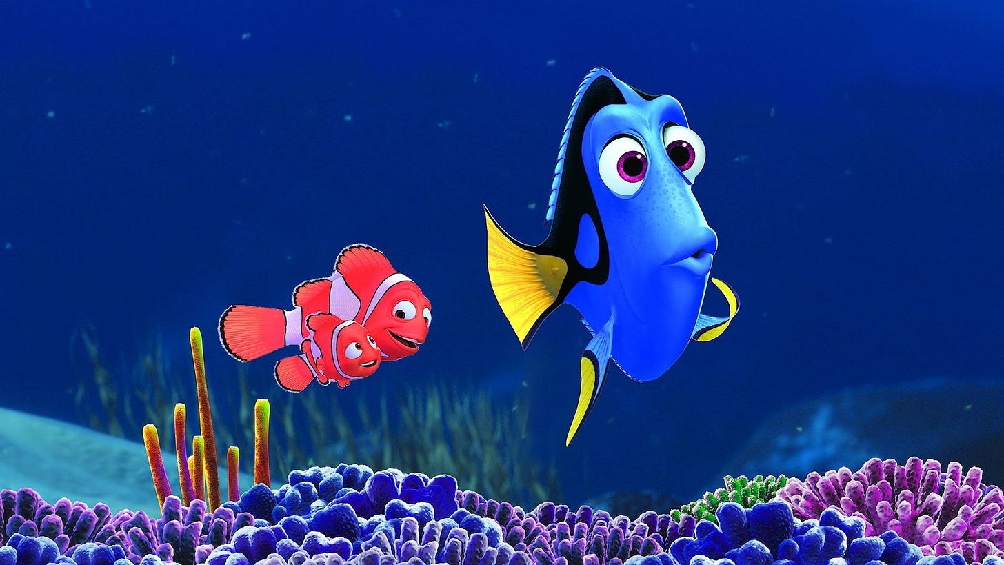 Finding Nemo' franchise may be hurting wild clownfish population - National  | Globalnews.ca