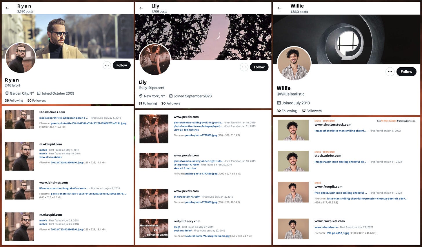 screenshots of the profiles of three of the accounts in the network, and screenshots of TinEye searches demonstrating that the images are plagiarized