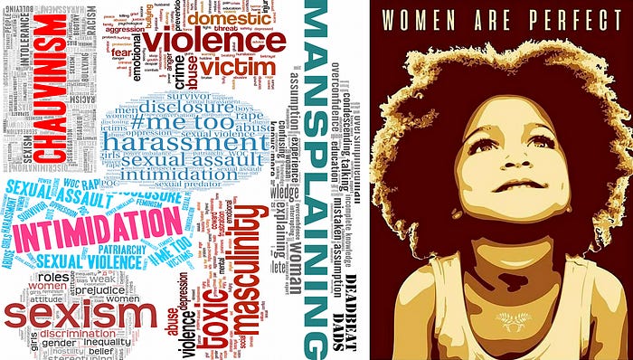 word cloud created by author showing many criticisms of men; “Women Are Perfect” poster displayed at Women’s March in Washington DC, January 21, 2017