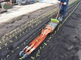 Chain pot Systems