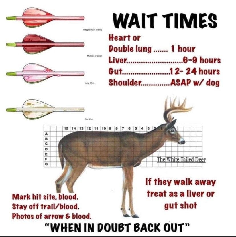 Best shot placement on Whitetails | Archery Talk Forum