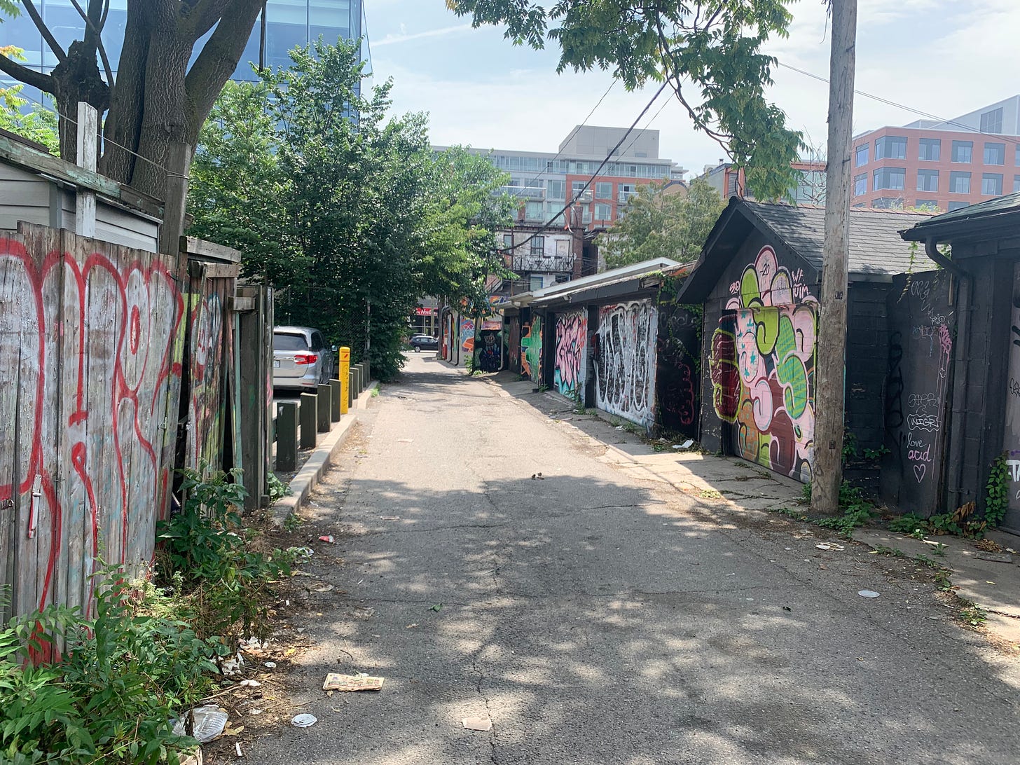 An alley with a row of garages covered in murals and graffiti.