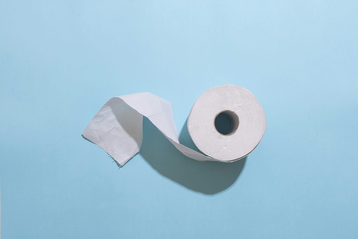 toilet paper roll