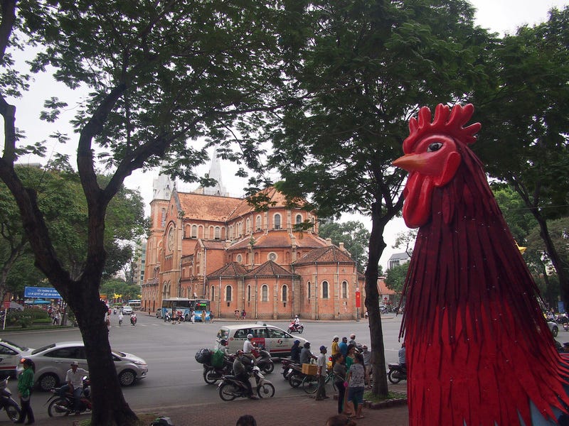 Rooster of Saigon