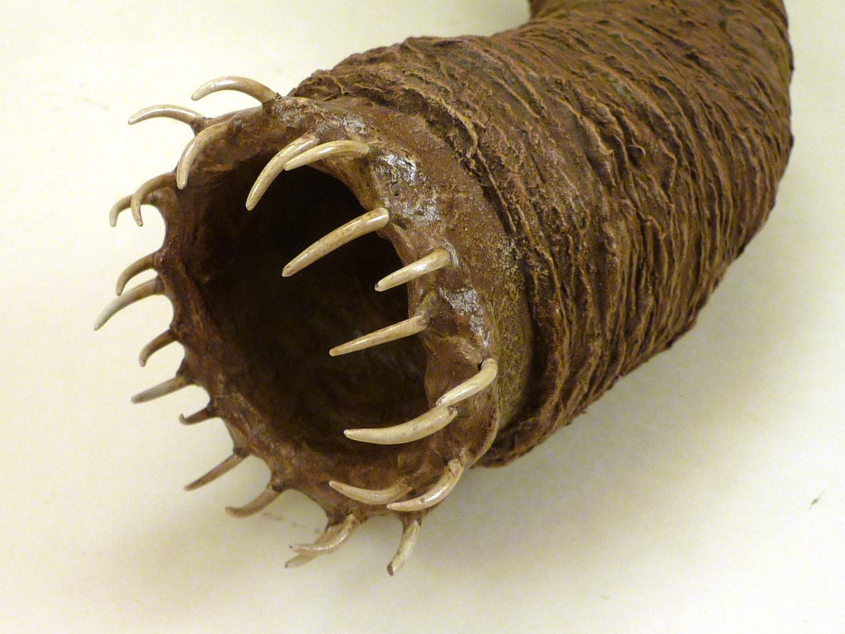 Propnomicon: Mongolian Death Worm Gaff