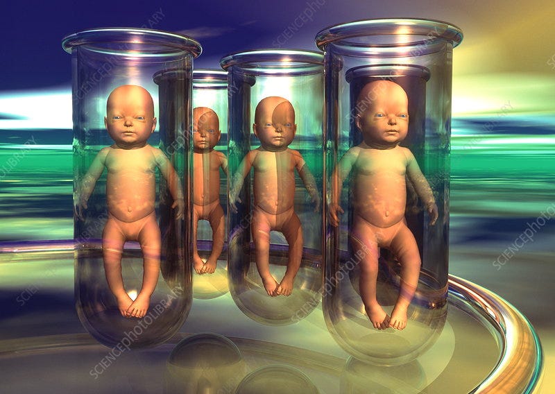 Cloning babies - Stock Image - G340/0027 - Science Photo Library