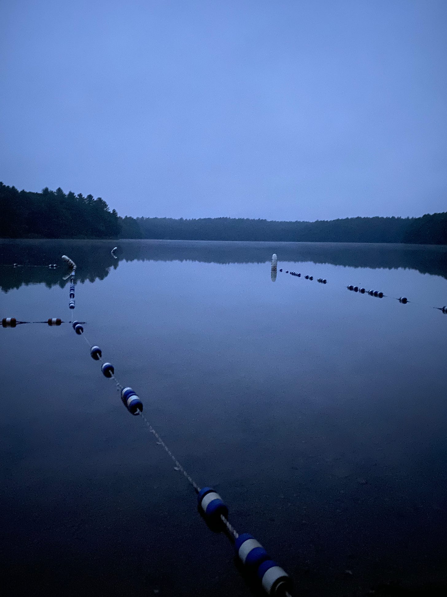 Walden Pond in the early morning: the surface of the pond is still and clear, the sky is cloudy, and everything is tinted a pre-dawn blue.