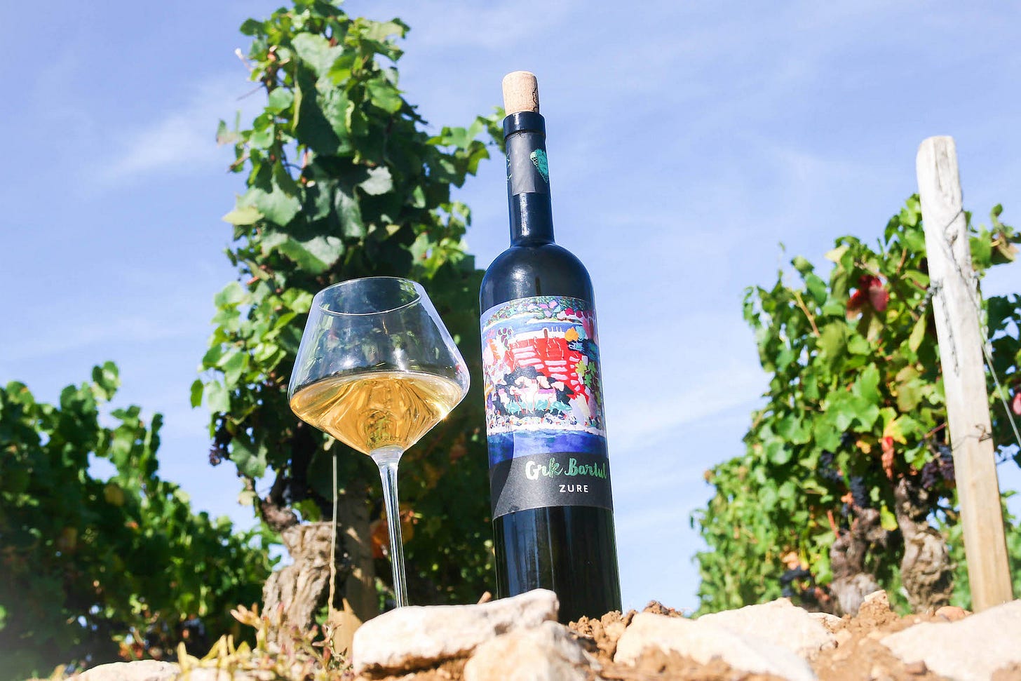 Grk Croatian white wine
