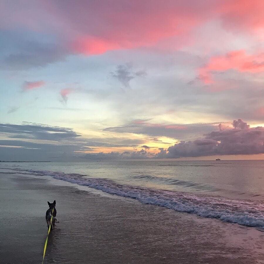 A breathtaking sunrise on beautiful dog-friendly Cocoa Beach