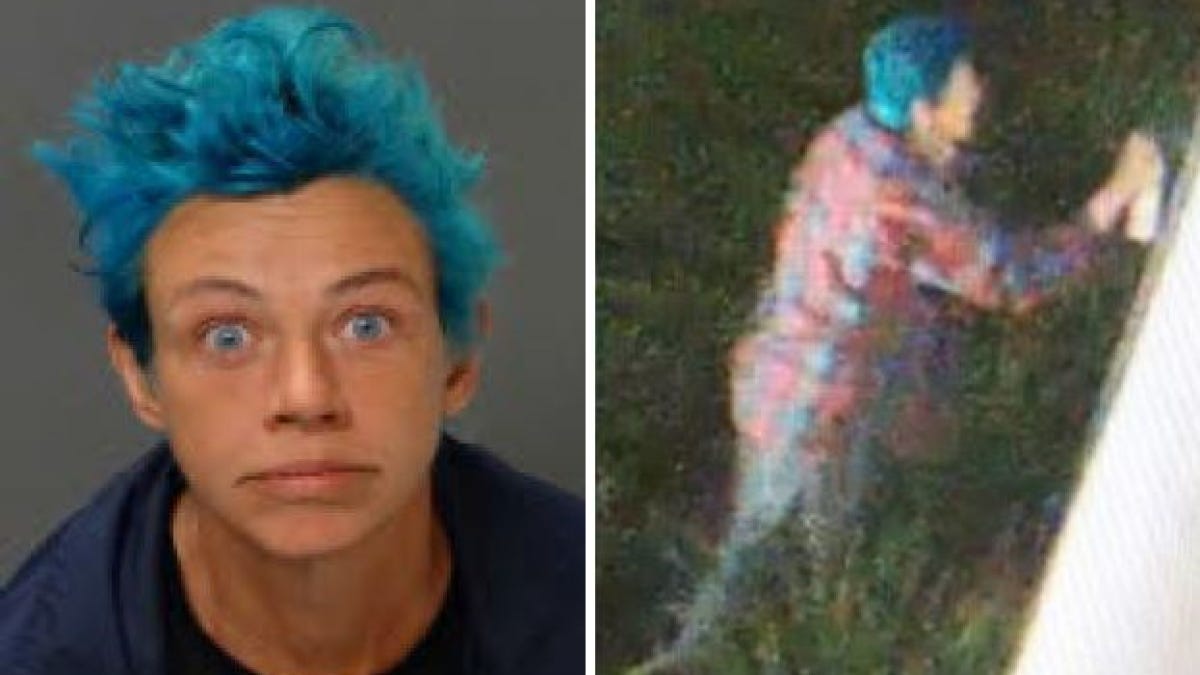 Blue-haired woman arrested for scrawling anti-Trump graffiti on government  buildings, police say - Los Angeles Times