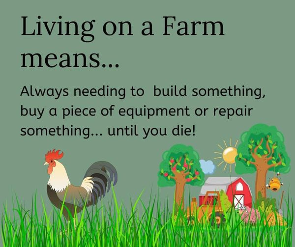 Living on a farm always means having to build something, buy something, or fix something... till you die.