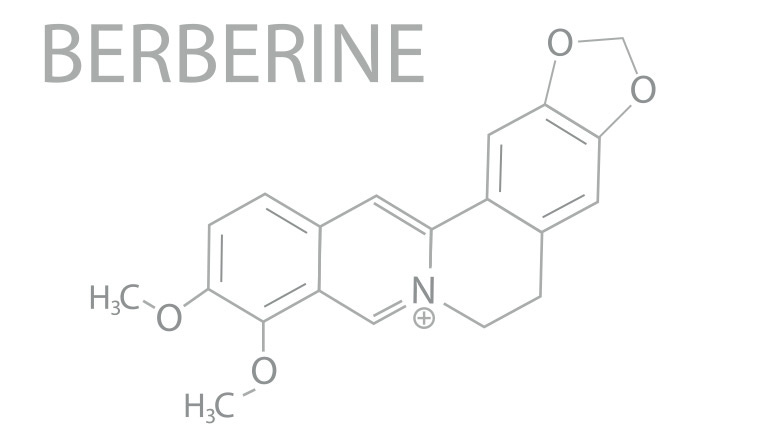 berberine and neurological health