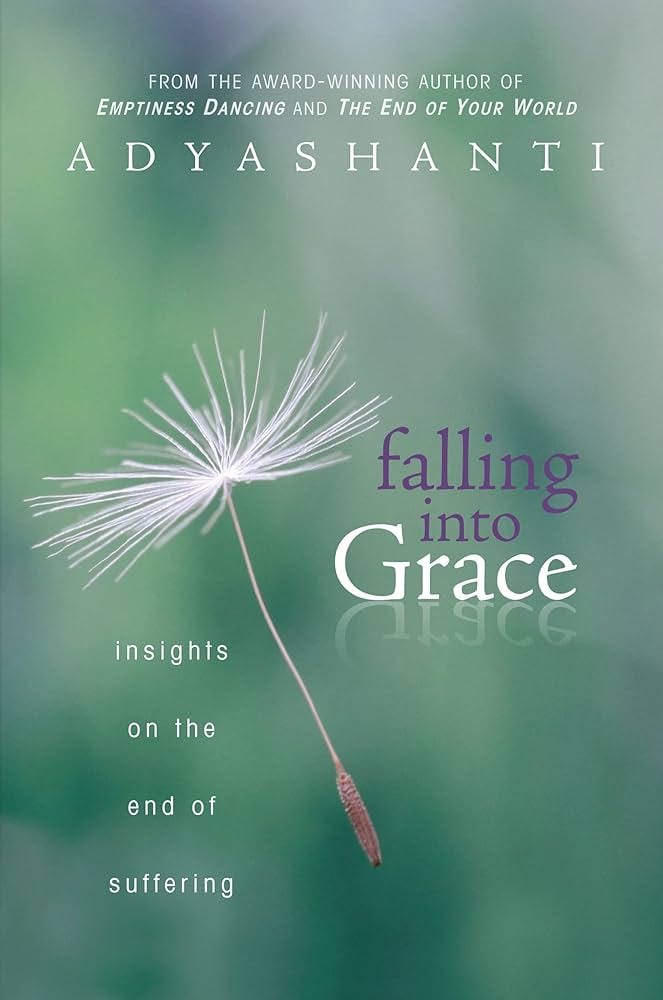 Falling into Grace: Insights on the End of Suffering: 9781604079371:  Adyashanti: Books - Amazon.com