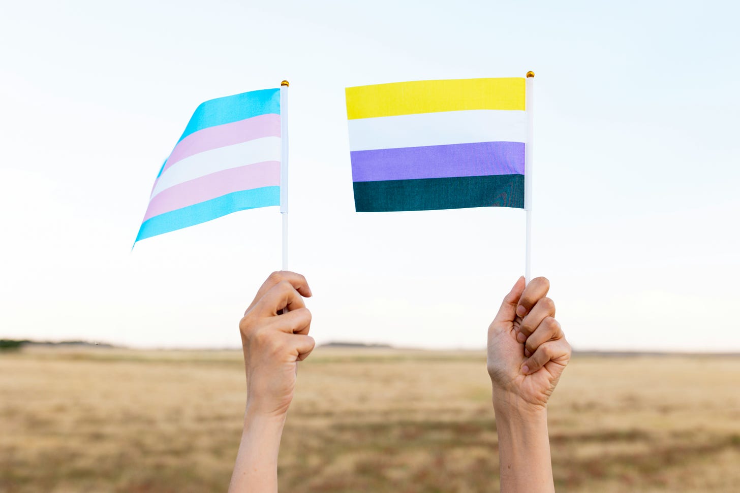 Image description: Two hands holding pride flags with the light blue, pink, and white trans pride flag on the left and the yellow, white, purple, and black nonbinary pride flag on the right. 