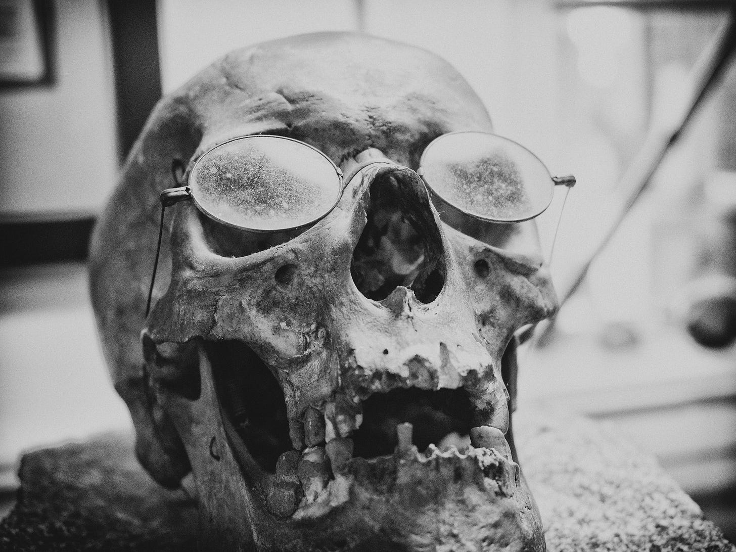 Human Skull with glasses