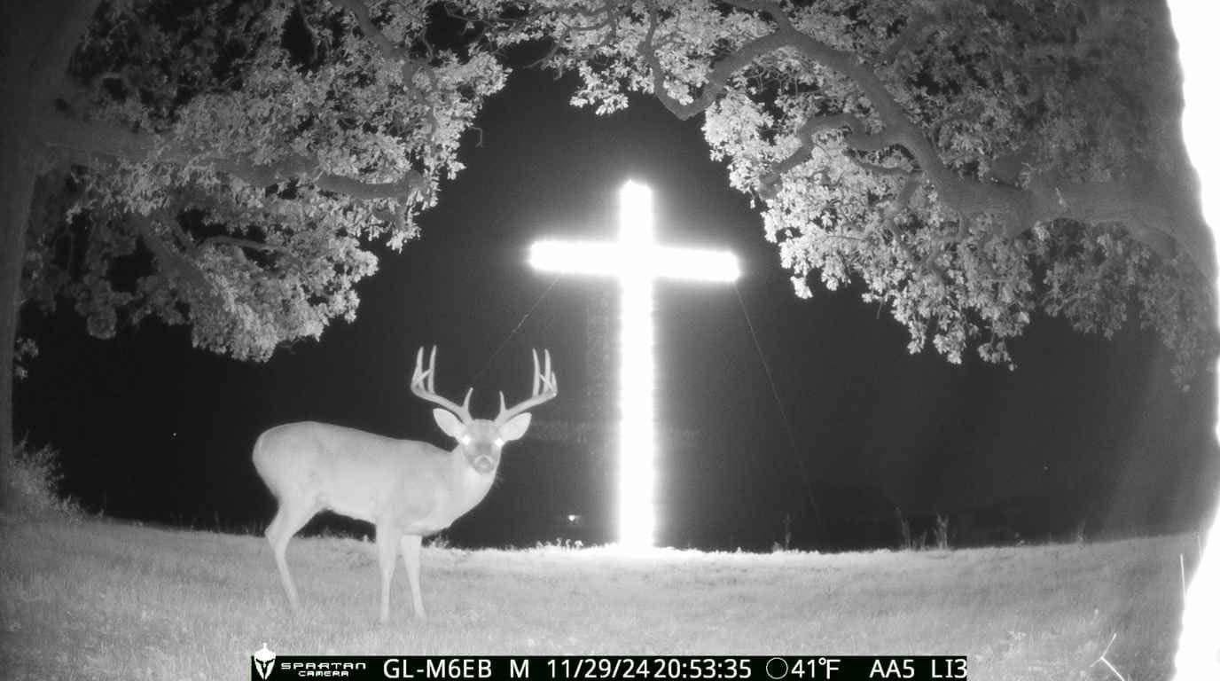 Trail cam night vision image of a deer in front of a glowing cross. Trail cam night vision image of a deer in front of a glowing cross.