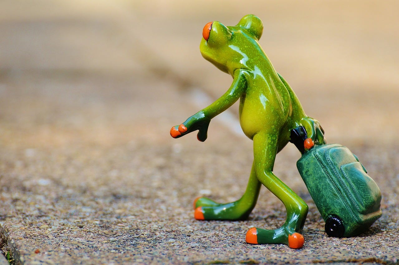 Frog progresses forward with his luggage