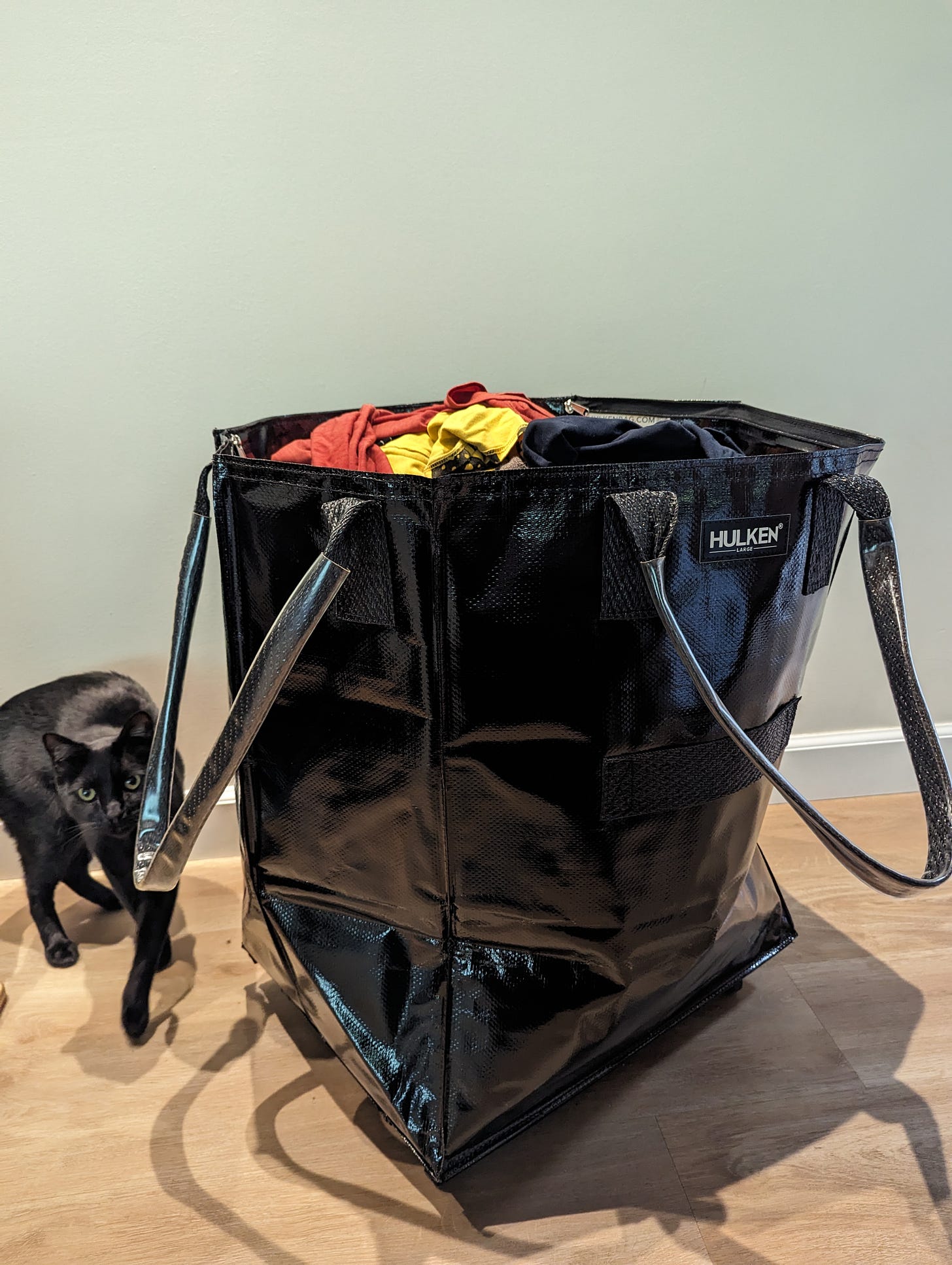 Hulken bag holding laundry while a black cat stands next to it with a look that could be curious or murderous