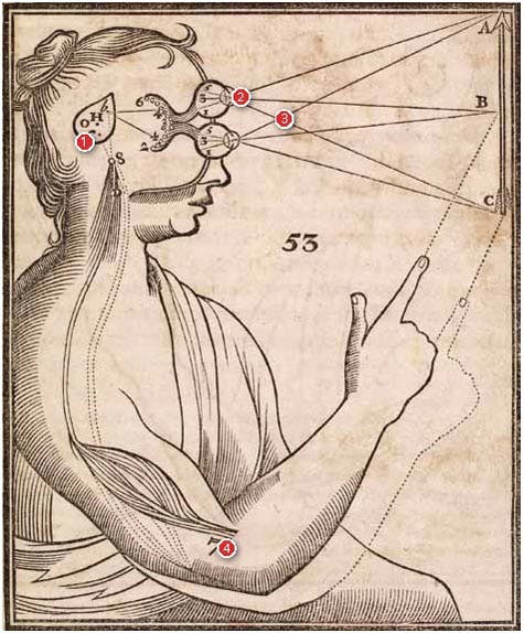 The Mindless Machine, circa 1664 | The Scientist Magazine®