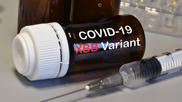 xbb covid combination vaccine