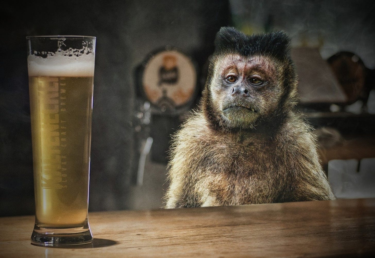 Drunk monkey art with a variety of sizes you'll love. | Etsy