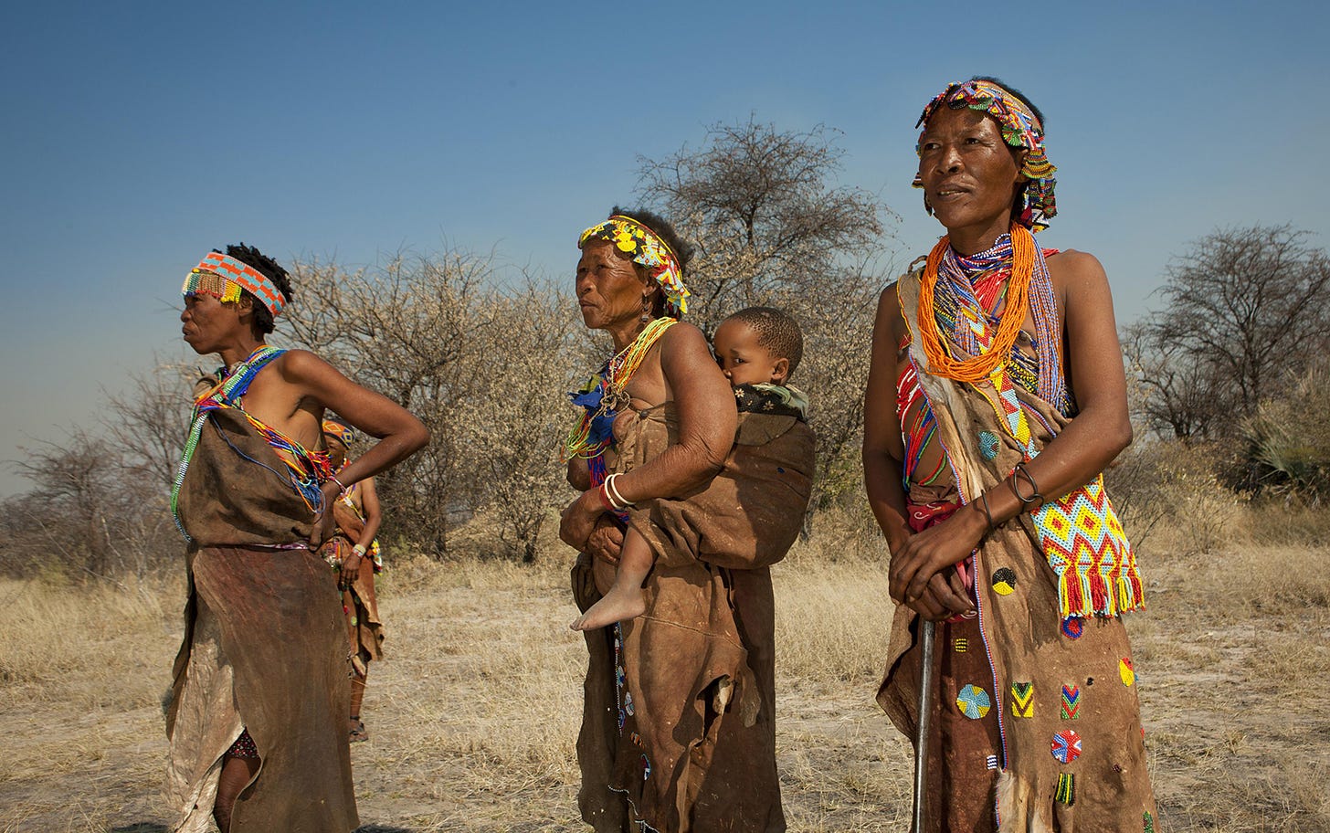 What the Ju/'hoansi can tell us about group decision-making | Aeon Essays