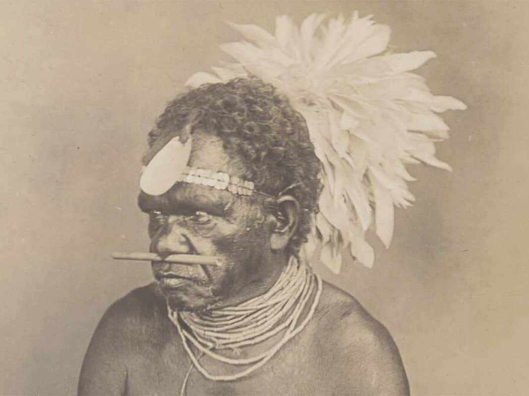 Kangaroo-bone nose piercing is oldest bone jewellery ever found | New Scientist Kangaroo-bone nose piercing is oldest bone jewellery ever found | New Scientist
