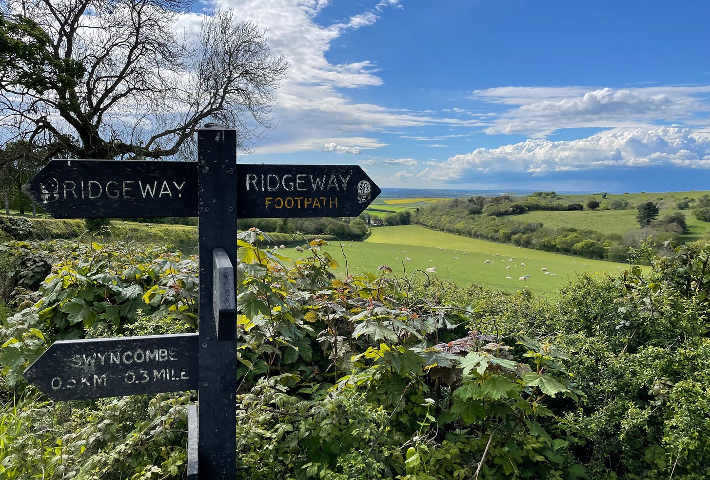 Ridgeway National Trail finger posts