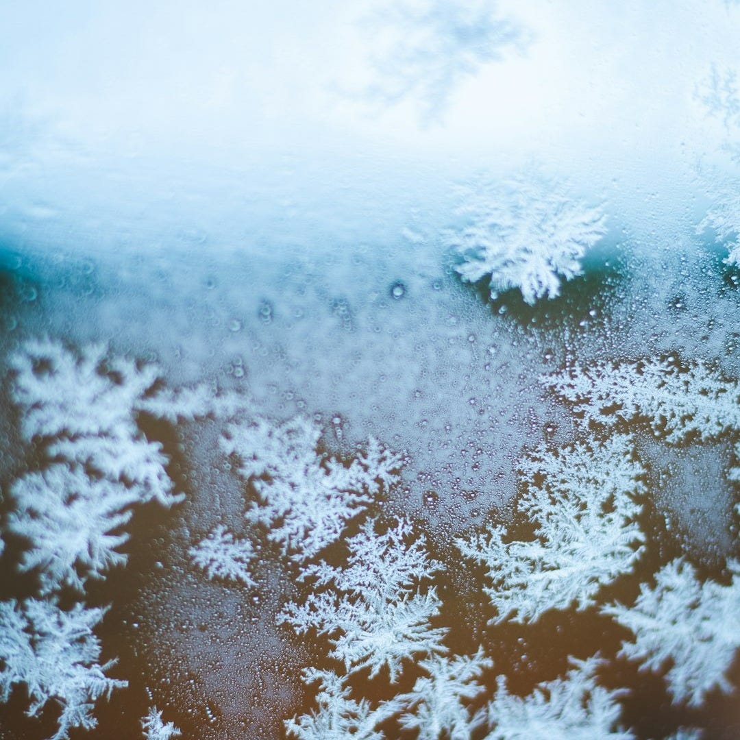 close-up photography of snowflakes