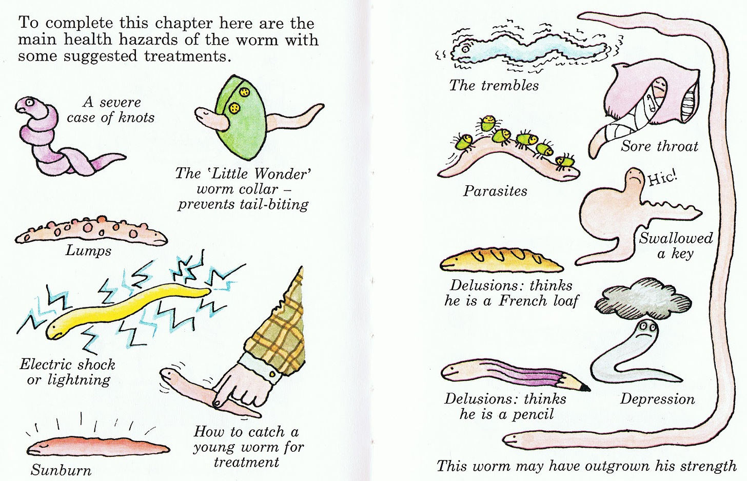 Little Library of Rescued Books: The Little Worm Book by Janet & Allan  Ahlberg