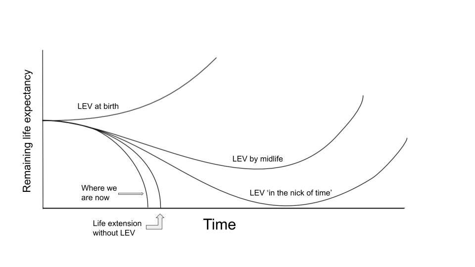 Can You Live Forever? Part 1: Why Exceptional Longevity Is Closer Than You  Think - Gowing Life