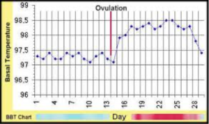 Fertility Awareness: How To Track Your Cycle and Know When You Ovulate Page  1 of 0