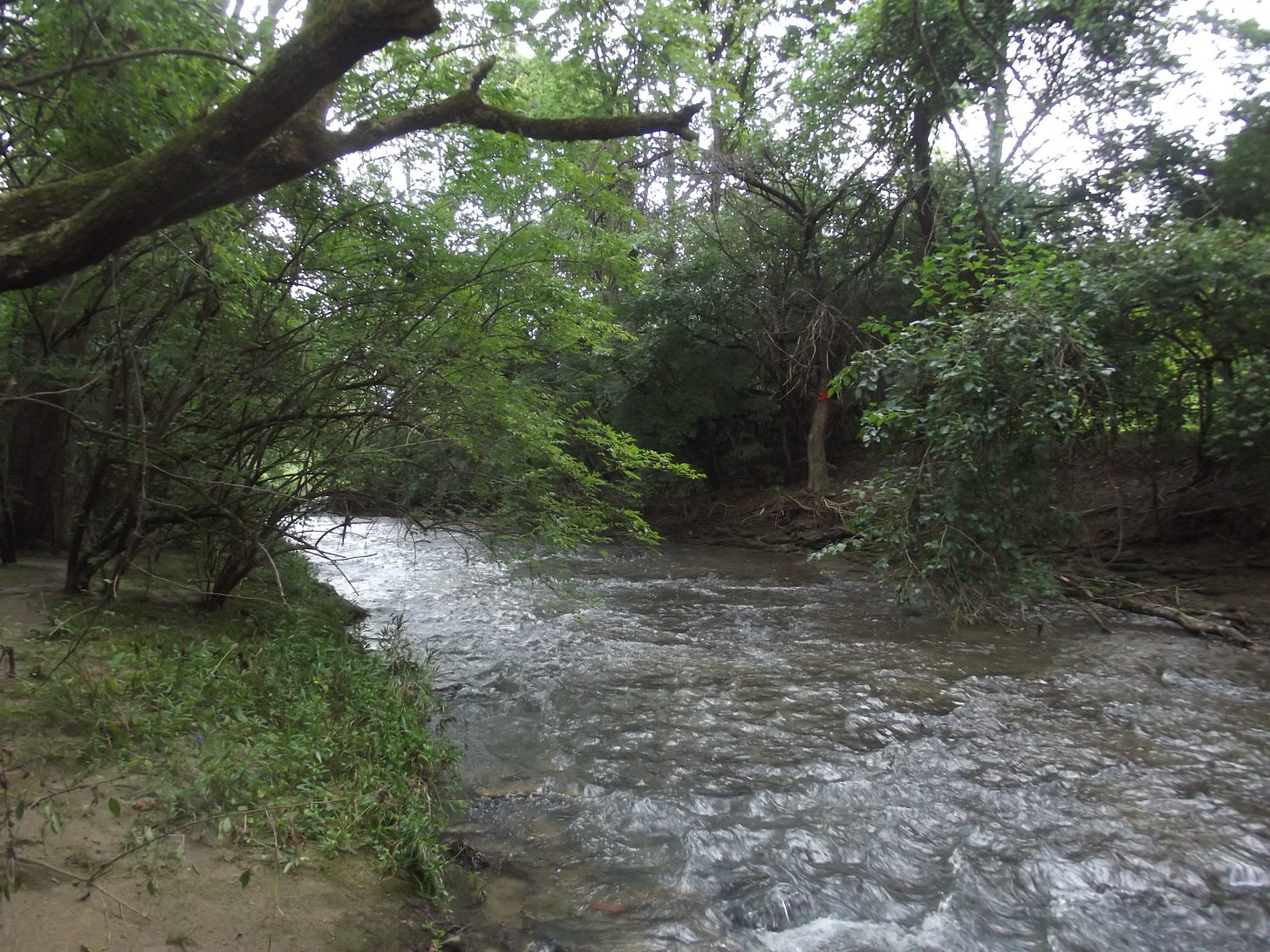 Charles L. Buell Trail