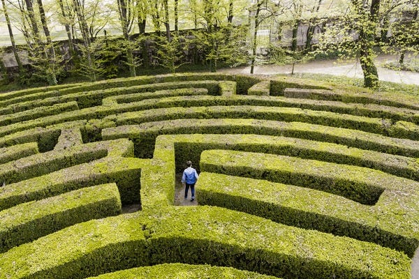 green bushes labyrinth hedge man walking toward exit