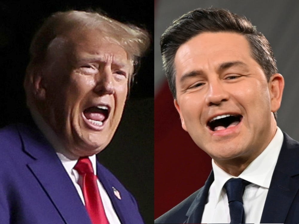 Poilievre seen by most voters as the best PM and to handle Trump | Toronto  Sun