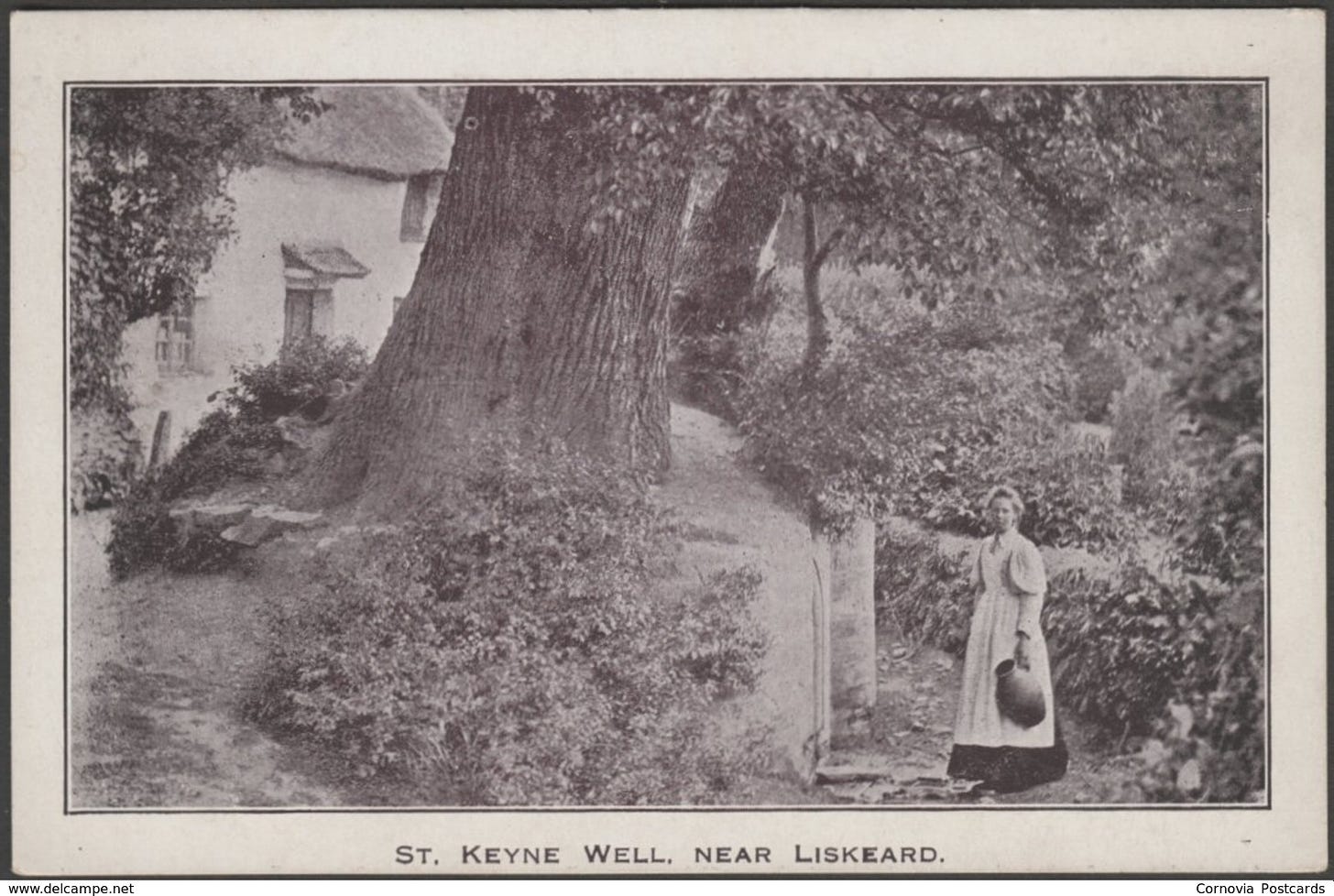 Other & unclassified - St Keyne Well, near Liskeard, Cornwall, c.1905 - U/B  Postcard